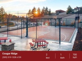 section 8 rental