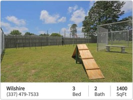 section 8 rental