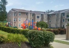 section 8 rental