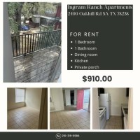 section 8 rental