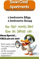 section 8 rental