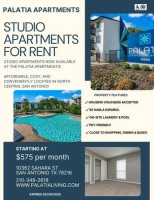 section 8 rental