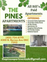 section 8 rental