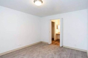 section 8 rental