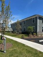 section 8 rental