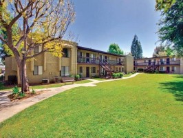 section 8 rental