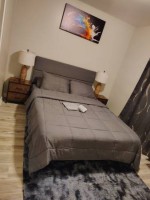 section 8 rental