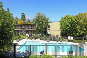 section 8 rental