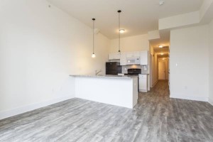 section 8 rental