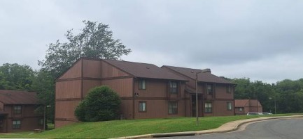 section 8 rental