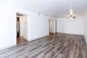 section 8 rental