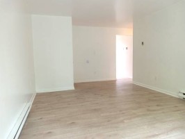 section 8 rental