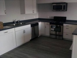 section 8 rental