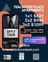 section 8 rental