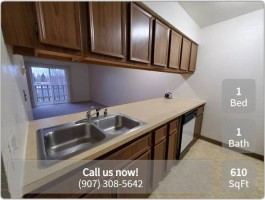 section 8 rental