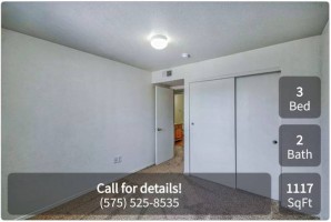section 8 rental