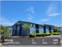 section 8 rental