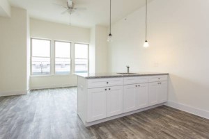 section 8 rental