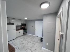 section 8 rental