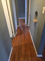 section 8 rental