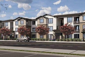section 8 rental