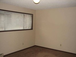 section 8 rental