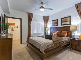section 8 rental