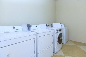 section 8 rental