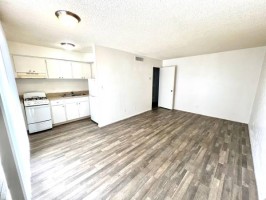 section 8 rental