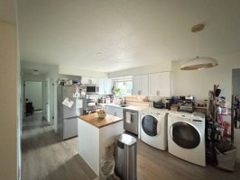 section 8 rental