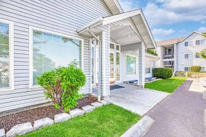 section 8 rental