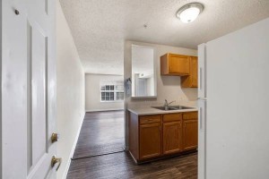 section 8 rental
